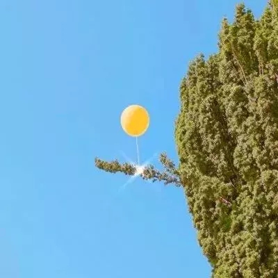 快3彩票官方下载