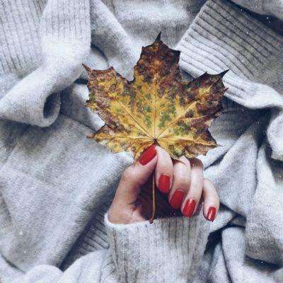 加拿大pc软件平台截图