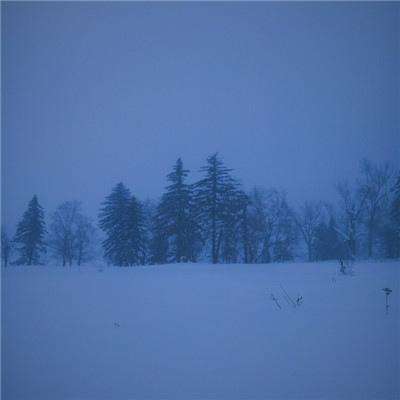 万博官网manbetx截图