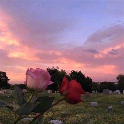 半岛综合APP下载