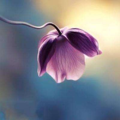 bte365真正的网站app下载